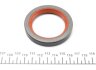 Сальник резинометаллический OIL SEAL 50X70X10 FIAT VICTOR REINZ 81-35914-00 (фото 2)