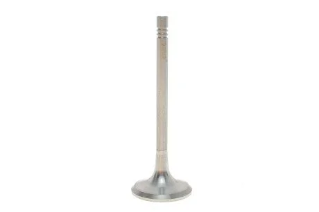 Клапан випускний Skoda Octavia (00-10,04-13)/VW Golf (00-05,08-12)/Audi A4 (01-04) vika Vika 11090724501