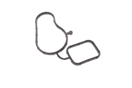 Прокладка помпи води VW Passat 1.8/2.0 TSI/FSI 05-14 (opt-om) Vika 11211802201