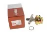 Насос паливний VW Golf (86-92), Jetta (86-92), Polo (82-94) / Seat Ibiza (93-96) VIKA Vika 11270069901 (фото 4)