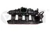 Колектор впускний Audi A5, A6/Seat Exeo 2.0 (08-14) VIKA Vika 11331776901 (фото 1)