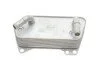 Радіатор масляний VW Caddy IV/Passat 14-/Skoda Octavia 1.0-2.0TSI/1.6-2.0 TDI 12- (теплоо (opt-om) Vika 14091597001 (фото 3)
