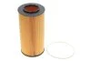 Фільтр масляний (змін.елем.) DAF (TRUCK) (вир-во WIX-Filtron) WIX FILTERS 92129E (фото 1)