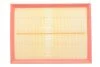 Фильтр воздушный LANDROVER DISCOVERY /AP129/6 (пр-во WIX-Filtron) WIX FILTERS WA9495 (фото 1)
