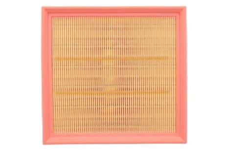 Фільтр повітряний (вир-во WIX-FILTERS) WIX FILTERS WA9560