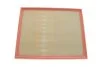 Фільтр повітряний BMW X5, X6 /AP 029/1 (вир-во WIX-FILTERS) WIX FILTERS WA9656 (фото 1)