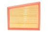 Фільтр повітряний RENAULT MEGANE, SCENIC 1.2-1.3 Tce 15- (вир-во WIX-FILTERS) C.I.U WIX FILTERS WA9831 (фото 1)