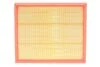 Фильтр воздушный VW CRAFTER II 2.0 TDI 17- (пр-во WIX-FILTERS) WIX FILTERS WA9843 (фото 1)