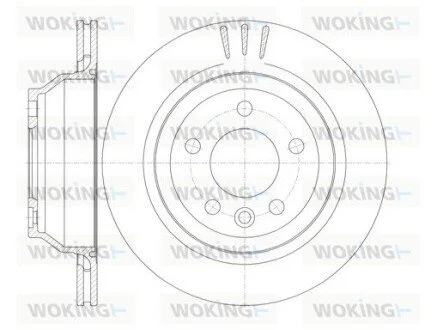 Диск гальмівний задній (кратно 2) (вир-во Remsa) VW T5 >10 (D61160.10) WOKING D6116010