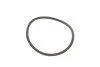 Фильтр топливный Fiat Scudo/Citroen Jumpy/Peugeot Expert 2.0JTD/HDI 07- UA63 WUNDER FILTER WB 508 (фото 6)