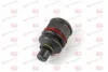 Шарова опора лів/прав (нижн передн) (діаметр конуса 18mm) MAZDA 3, 323 F VI, 323 S VI, 5, 626 IV, TRIBUTE 1.3-2.3 08.93-05.19 YAMATO J13013YMT (фото 1)