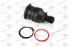 Шарова опора лів/прав (нижн передн) HONDA CITY IV, CR-Z, HR-V, JAZZ II 1.2-1.6 03.99- YAMATO J14011YMT (фото 1)